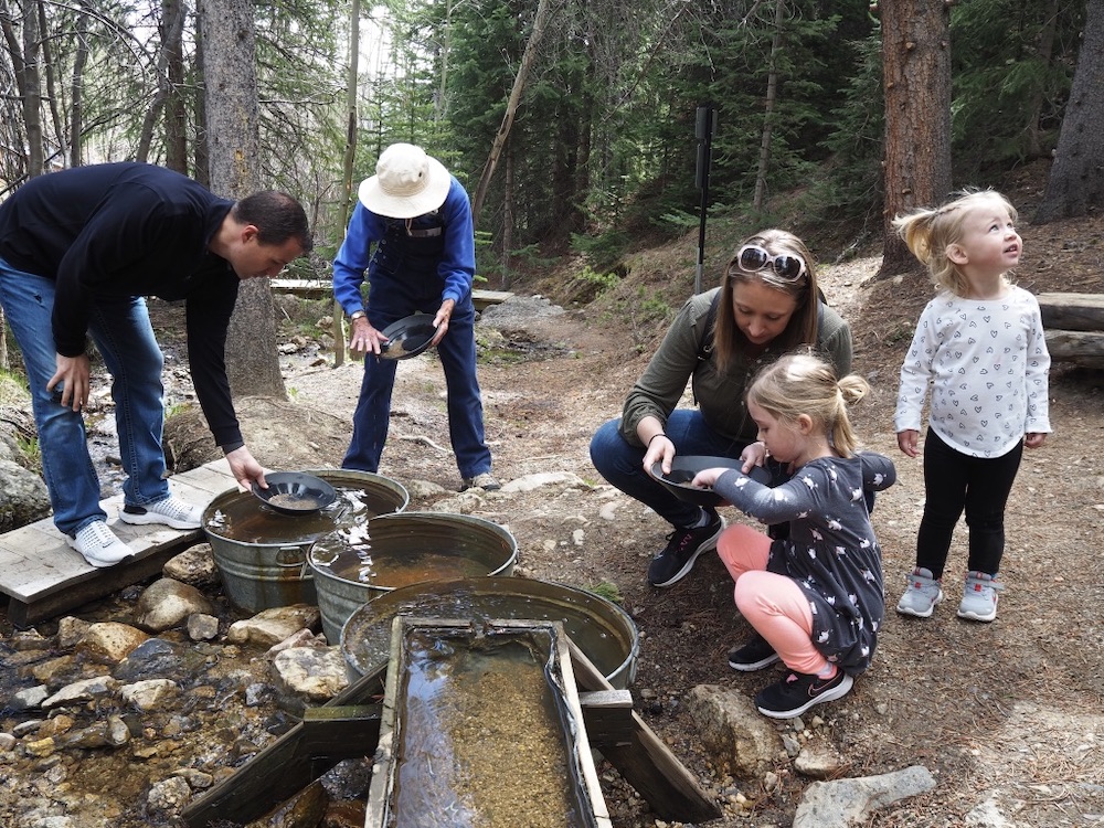 Gold Panning in Lomax Gulch