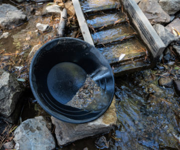 Gold Panning in Lomax Gulch