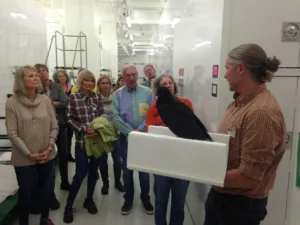 Breckenridge History staff listen to a curator who is holding a taxidermized bird in a collections facility.